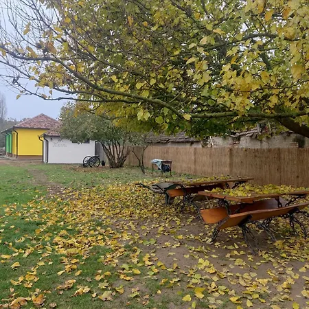 Amanet House - Sunce