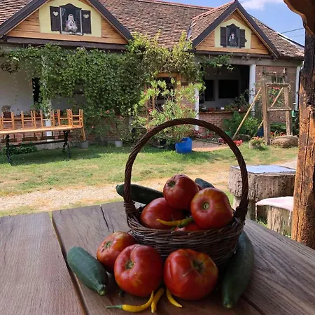 Amanet House - Sunce * Zasavica